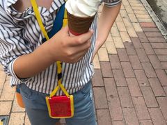 -富豪雪糕车流动点(尖沙咀店)