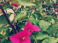 -浔庐餐厅•江西老字号•九江菜(烟水亭店)