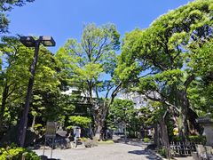 -浅草寺