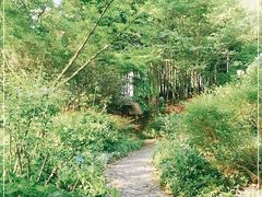 -上海市保健医疗中心