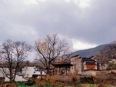-塔川景区