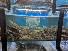 -老东镇啤酒屋海鲜加工·蒸汽海鲜·海鲜烧烤(台东店)