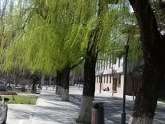 -曲阜师范大学(曲阜校区)