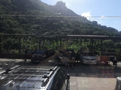 -崂山水果园农家宴(泉水鸡店)