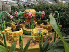 -南宫五洲植物乐园