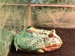-上海大自然野生昆虫馆