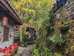 -青城甲(青城山店)