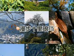 -十里琅珰