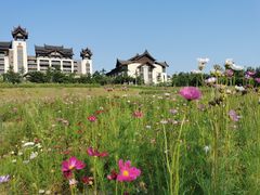 -清远熹乐谷温泉度假酒店
