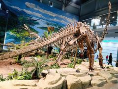 -自贡恐龙博物馆
