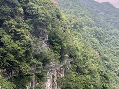 -千岛湖石林