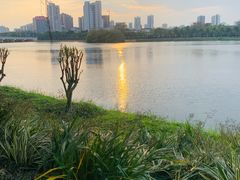 -南宁南湖公园