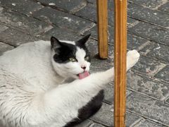 -梅记大块头爆鱼店(乍浦路店)