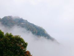 -少华山国家森林公园