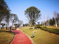 -铁山坪森林公园