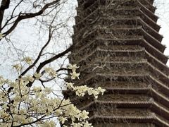 -玲珑塔公园