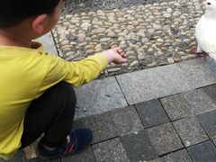 -飞来湖湿地公园