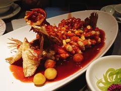 -姑苏家宴·苏帮菜·松鼠桂鱼(苏州总店)