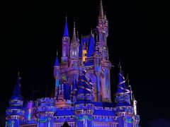 -奥兰多迪士尼动物王国乐园