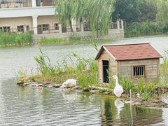 -古塔公园