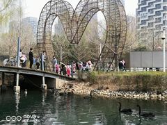 -长白岛森林公园