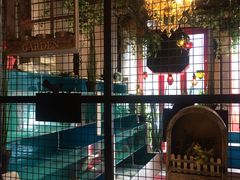 -美庐时尚餐厅(菱角湖店)