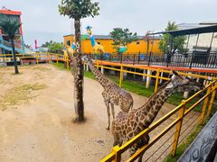 -西霞口神雕山野生动物世界