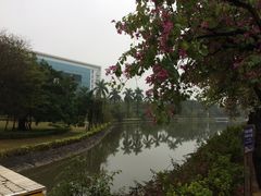 -顺德职业技术大学