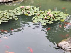 -华清宫景区