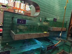 -鱼你相聚·河鲜馆(袁家岭店)