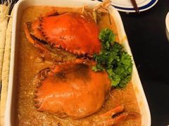 -茉莉.Red Crab