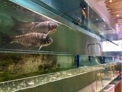 -食理八湘(中海城风情苑北区店)