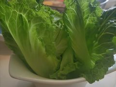 生菜-左庭右院鲜牛肉火锅(浦江欢乐颂店)