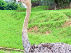 -乐和乐都主题乐园