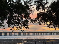 -宝安西湾红树林湿地公园