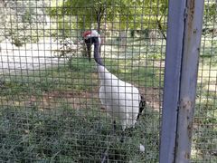 -石家庄市动物园