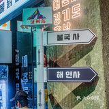 求求你们去吃下这家韩料‼️一秒穿越济州岛