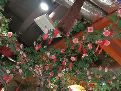 -蠔友汇(皇姑店)