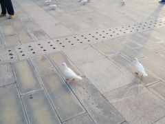 -天津妈祖文化园