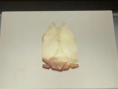 -临沂市博物馆