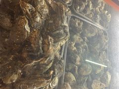 -土蚝·高压锅生蚝(百姓美食街店)