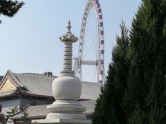 -天津大悲禅院