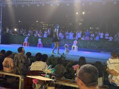 -渔家火锅·海鲜自助餐·演艺(亚龙湾天域酒店)