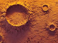 -胖子烧烤海鲜(亲贤北街店)