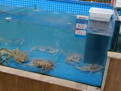 -阿伟海鲜楼·福建菜(涵江店)