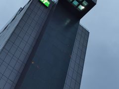 -上海浦东康桥绿地假日酒店