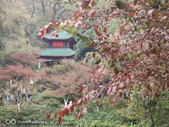 -岳麓山风景名胜区