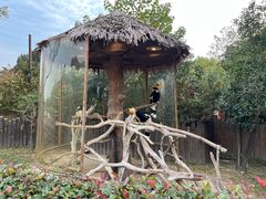 -上海野生动物园