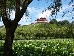 -南戴河国际娱乐中心