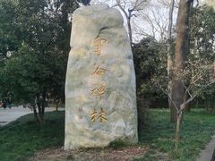 -灵谷景区